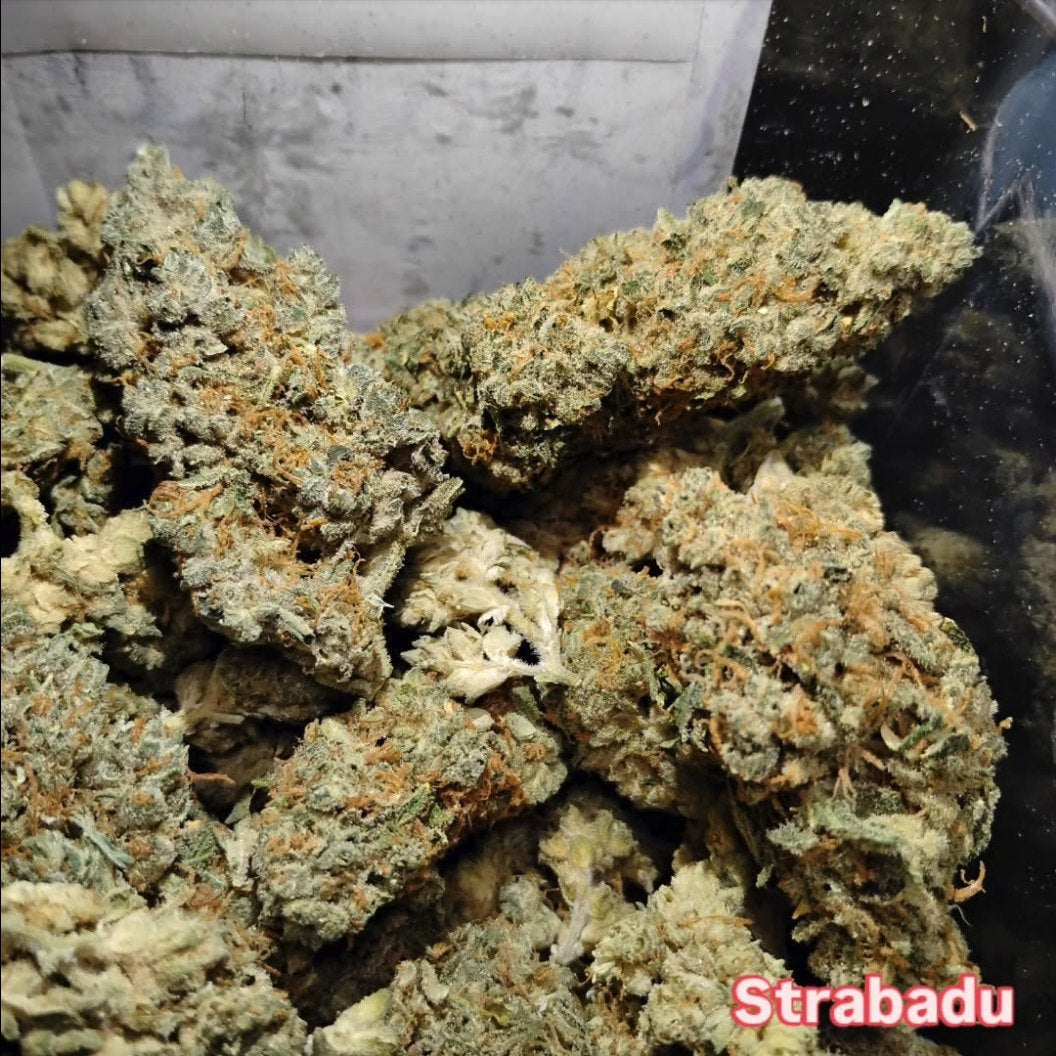 Strabadu