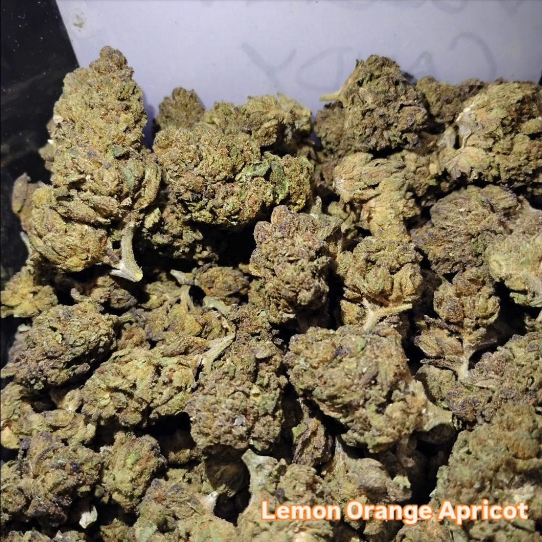Lemon Orange Apricot
