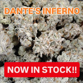 Dante's Inferno