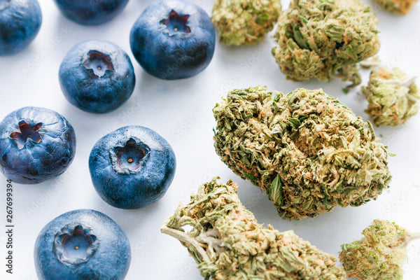Blueberry Kush Flower