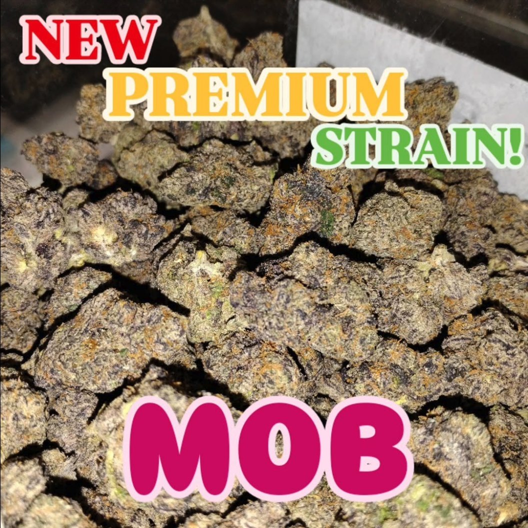 MOB (Mother of All Berries)
