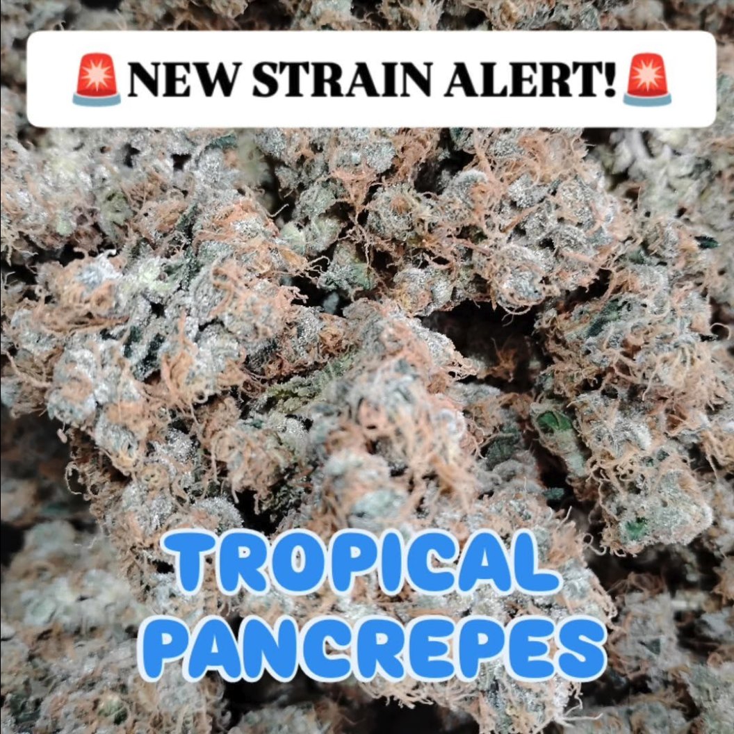 Tropical Pancrepes