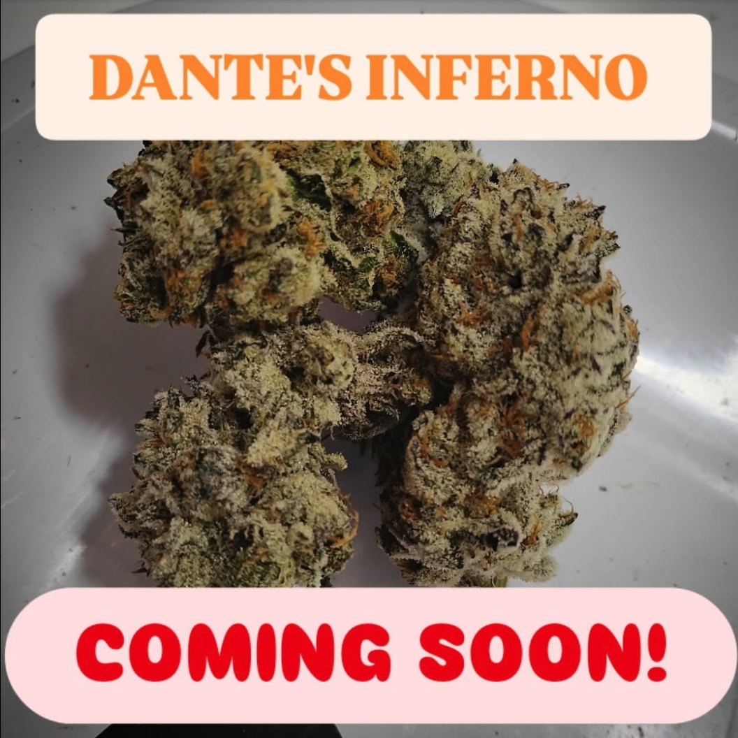 Dante's Inferno