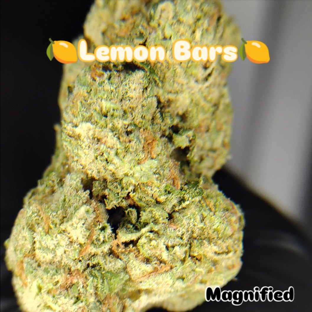 Lemon Bars