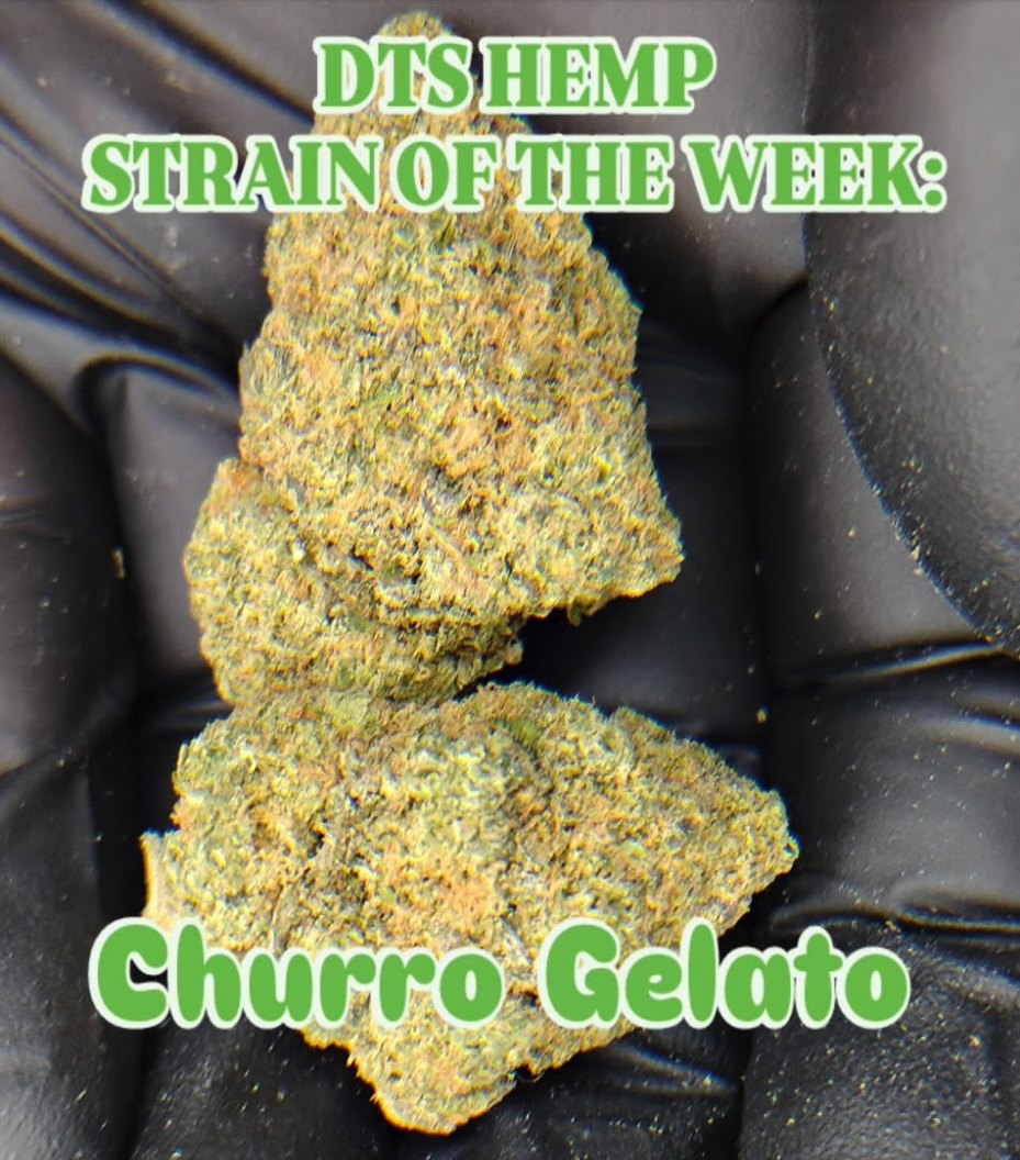 Churro Gelato