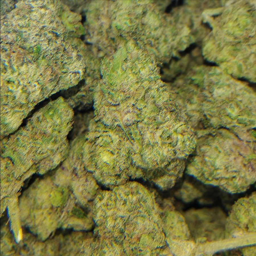 Fresh flower