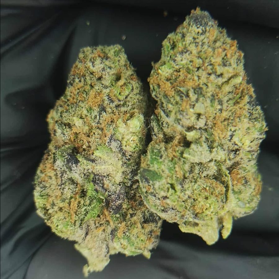 Hand-picked buds